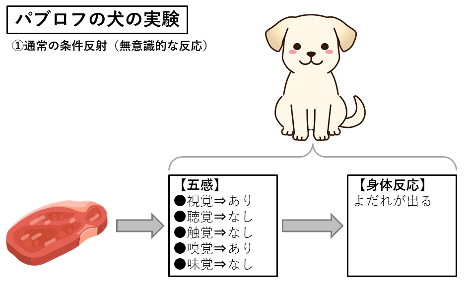 札幌　カウンセリング　こころの相談所　ブログ　パブロフの犬の実験－①通常の条件反射