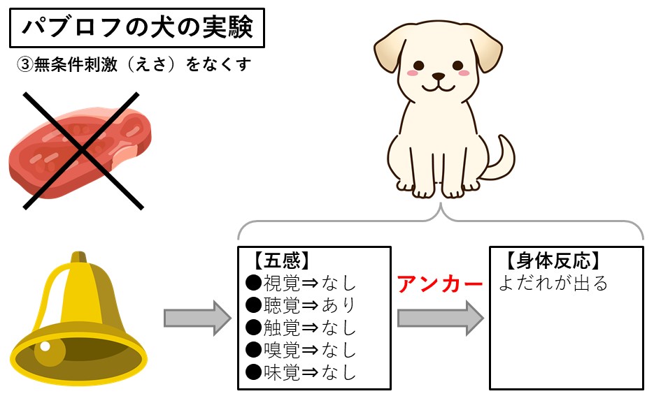 札幌　カウンセリング　こころの相談所　ブログ　パブロフの犬の実験－③無条件刺激（えさ）をなくす